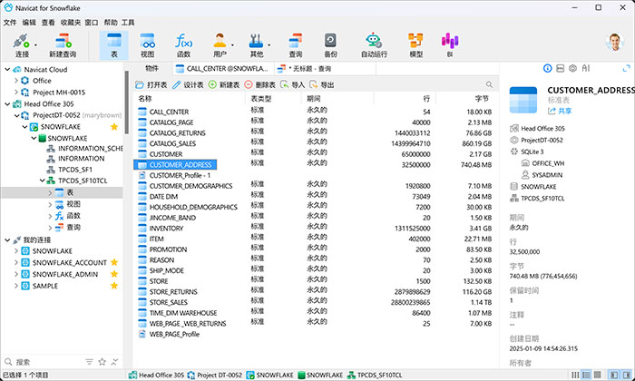 Navicat for Snowflake官方版