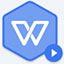 wps政府版