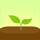 Forest插件版