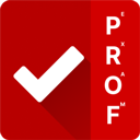 ProfExam Simulator官方版