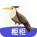 柜柜软件电脑版