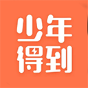 少年得到电脑版
