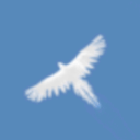 天之鸟(Sky Bird)