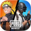 pubg国际服手游电脑版 v4.5.0