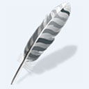 wing pro 12官方版