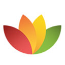 softmaker freeoffice 2024 F1238.1005中文版